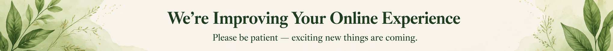 online_experience_banner_12to1_2040x170