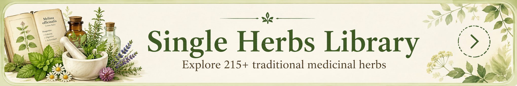 SINGLE HERB LIBRARY BANNER