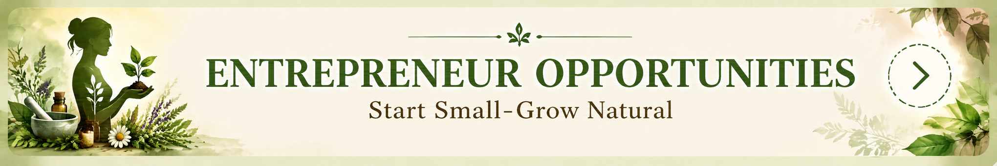 ENTREPRENEUR OPPORTUNITIES BANNER