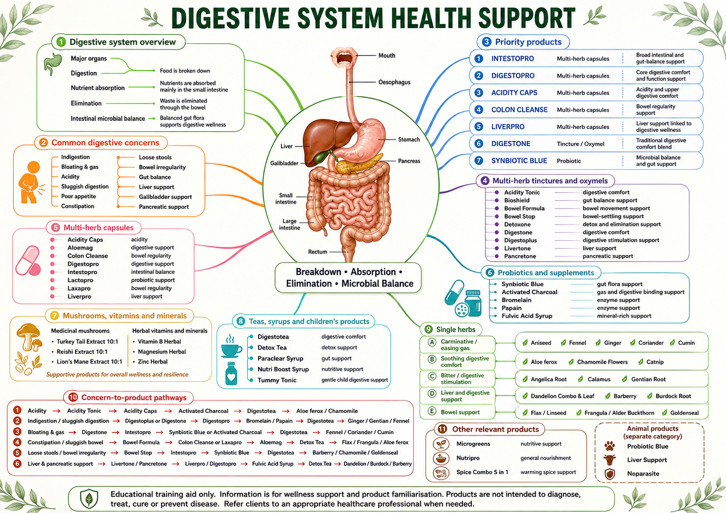 DIGESTIVE SYSTEM PRODUCTS MIND MAP